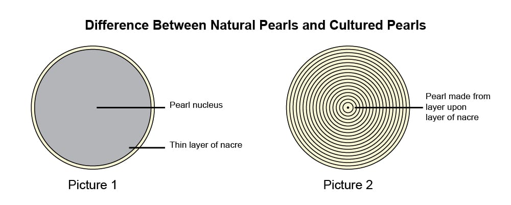 What is the structure of Pearls - Eusharon